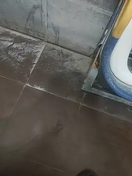 hard_guy17 webcam