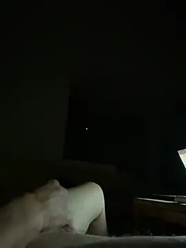 CastTaurus webcam