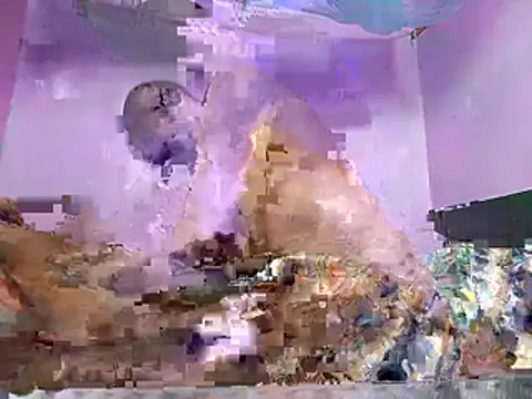 periciah webcam