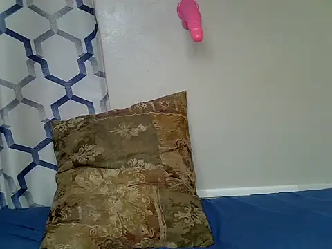 Shash_drip webcam