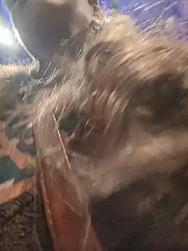 emma_tour webcam