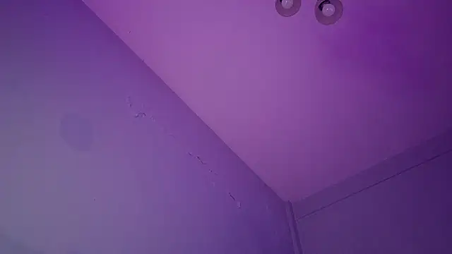 phranof_ webcam