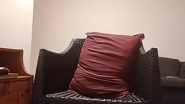 Tyyson03 webcam