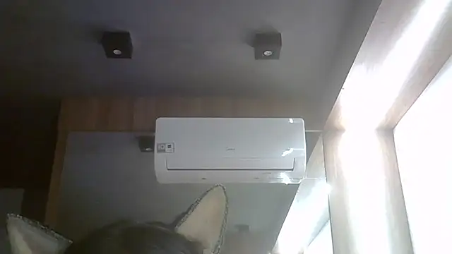 SkinnyKitten webcam