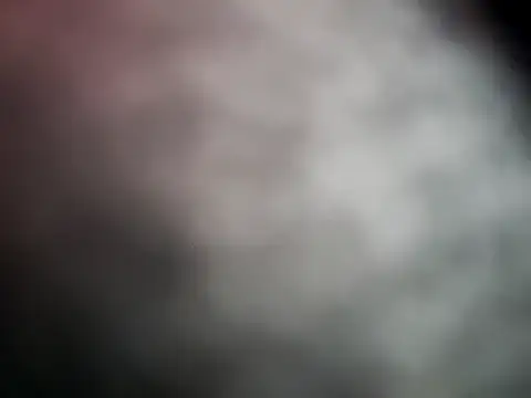 Cataleya_16 webcam