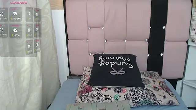 palmer_mIix webcam