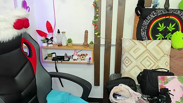 MeowMota_ webcam