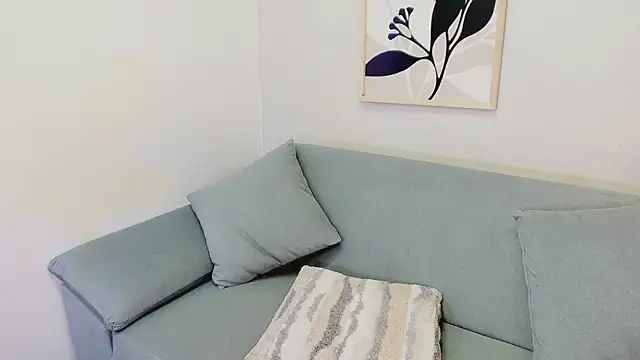 KassMonroe webcam