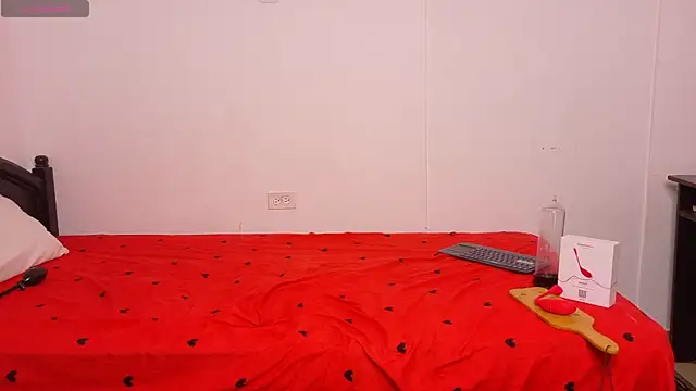 Kael_Switch webcam