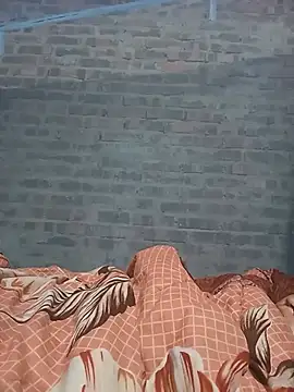 Heli_pusy webcam