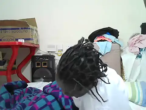 Paseski webcam