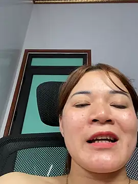 L_We webcam