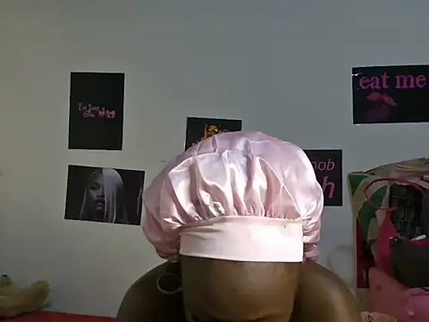 Aria_ah webcam