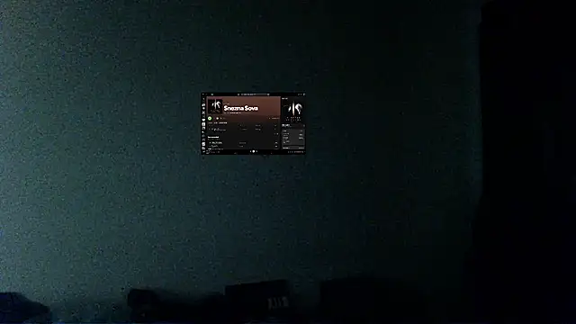 Sully_Kane webcam