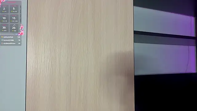 SteffaLains webcam