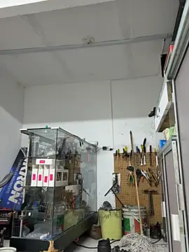 Paul22cm- webcam