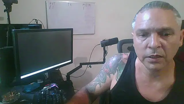 316wp webcam