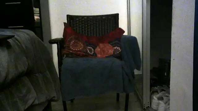 3LEGSSS webcam