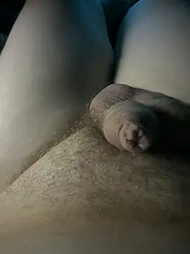 Devot24 webcam
