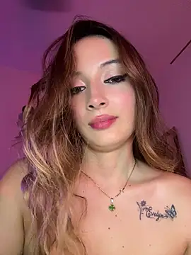 Evel_Rous webcam