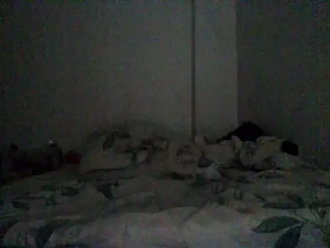 Franklin_Vikingo420 webcam