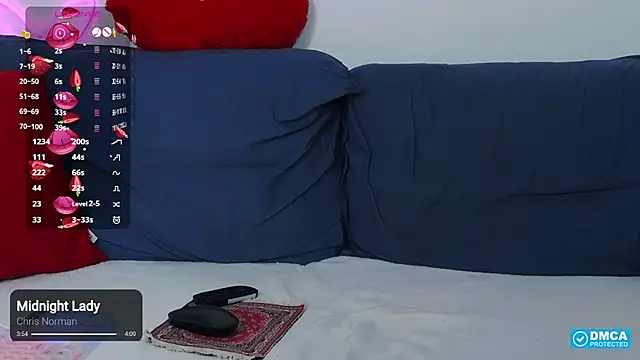 -Lorik- webcam