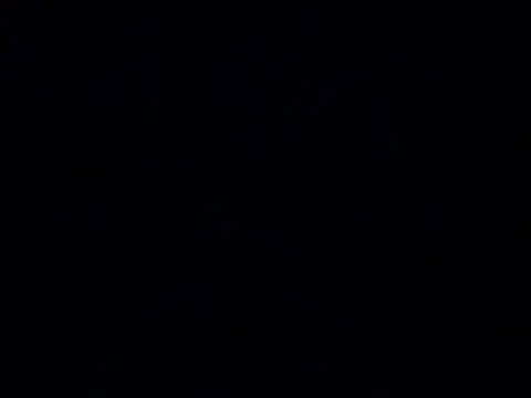 Rosecock69 webcam