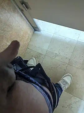 publicsir webcam