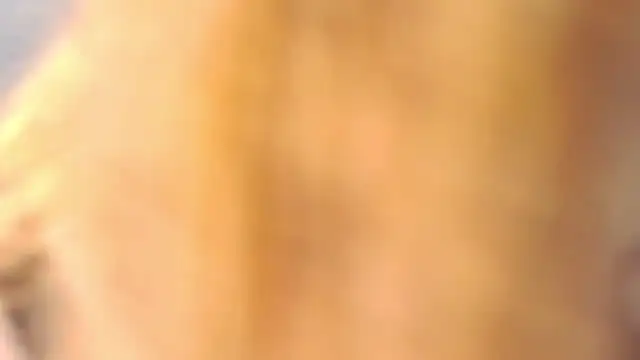 FoxyJoy webcam