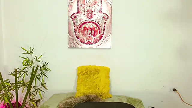 karlaveckyts webcam