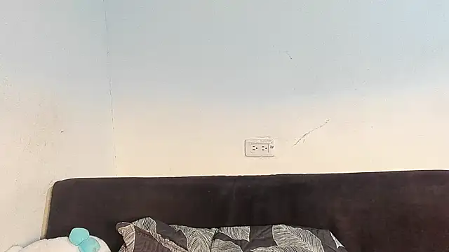 Eirlysx webcam