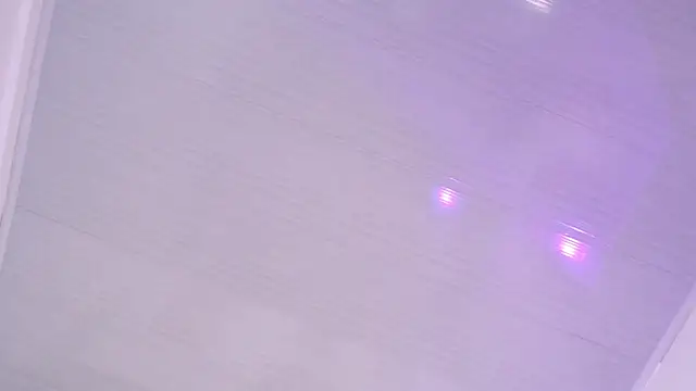 twin_heat webcam