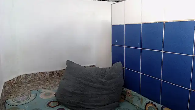 KamiYOscar webcam