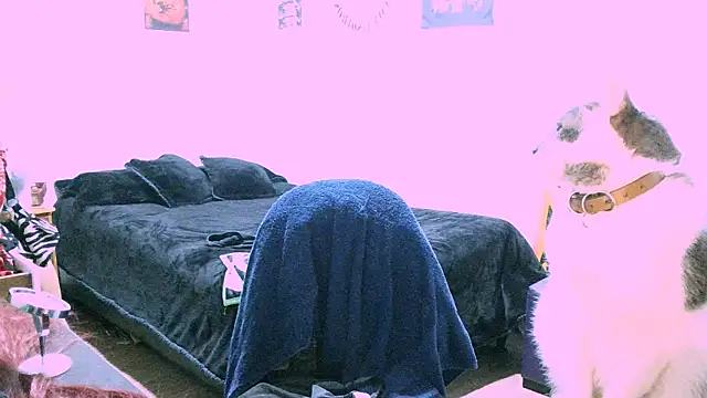 alex_one888 webcam