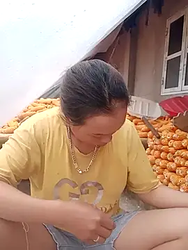 phuongtrinh1 webcam