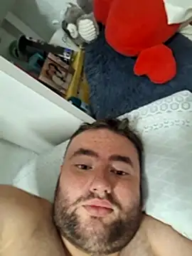 Javier_bear webcam