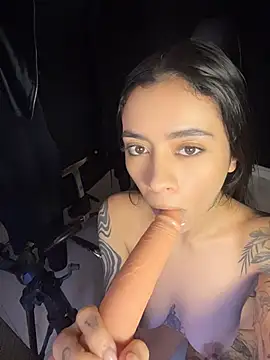 _iink_ webcam