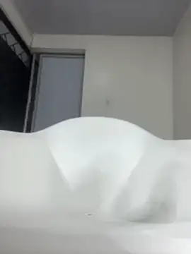 Ari_fist webcam
