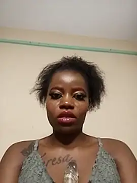 fine_slimmy webcam