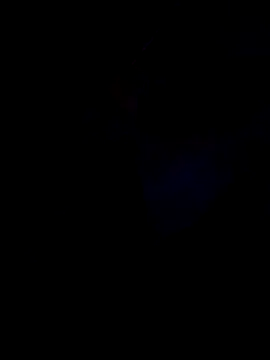 Anubiss91 webcam
