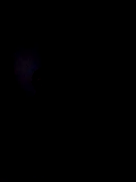samagira webcam
