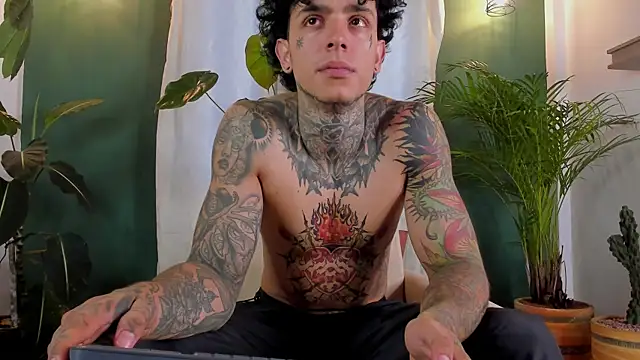 Aron_ford webcam