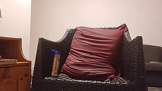 Tyyson03 webcam