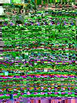 Spread4cum webcam