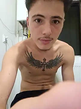 denysio89 webcam preview