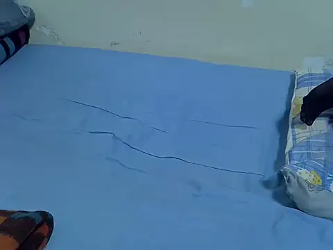 drowllie webcam
