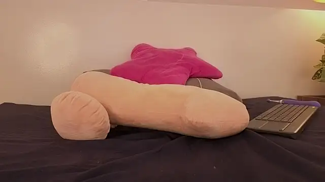 AllisonRoberts_ webcam