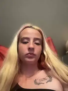 SeccySerena webcam