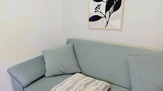 KassMonroe webcam