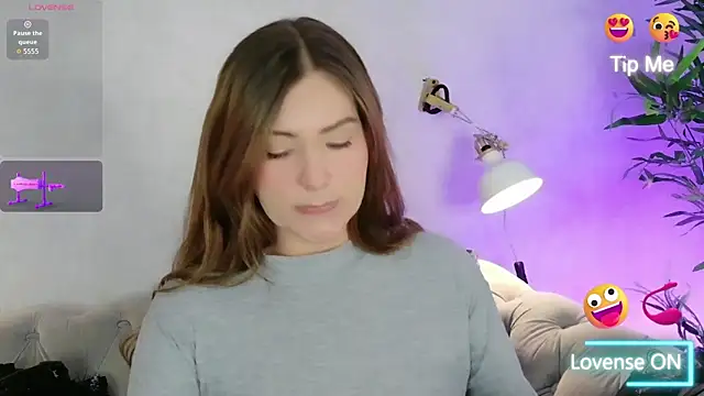 Heraa-Piett webcam